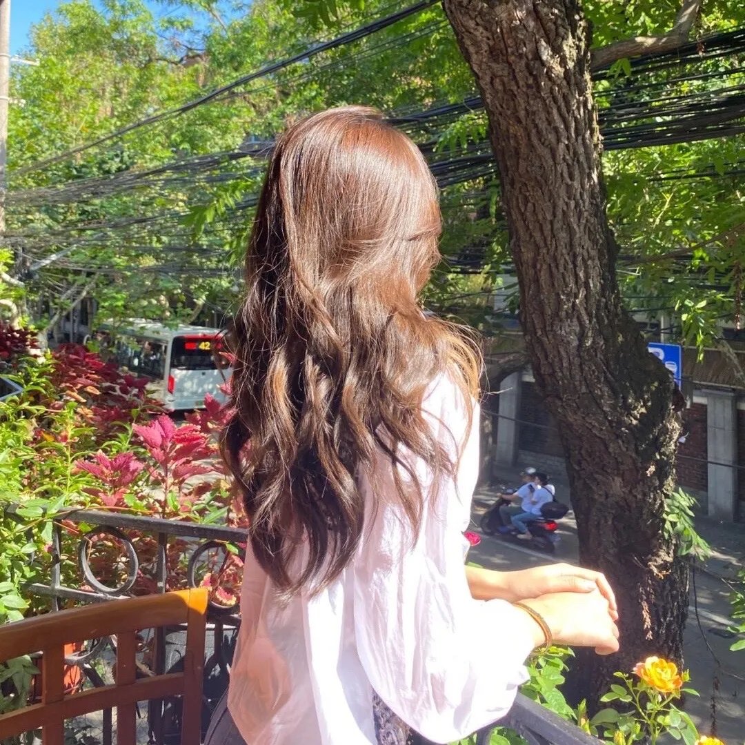 宝芝林粤语